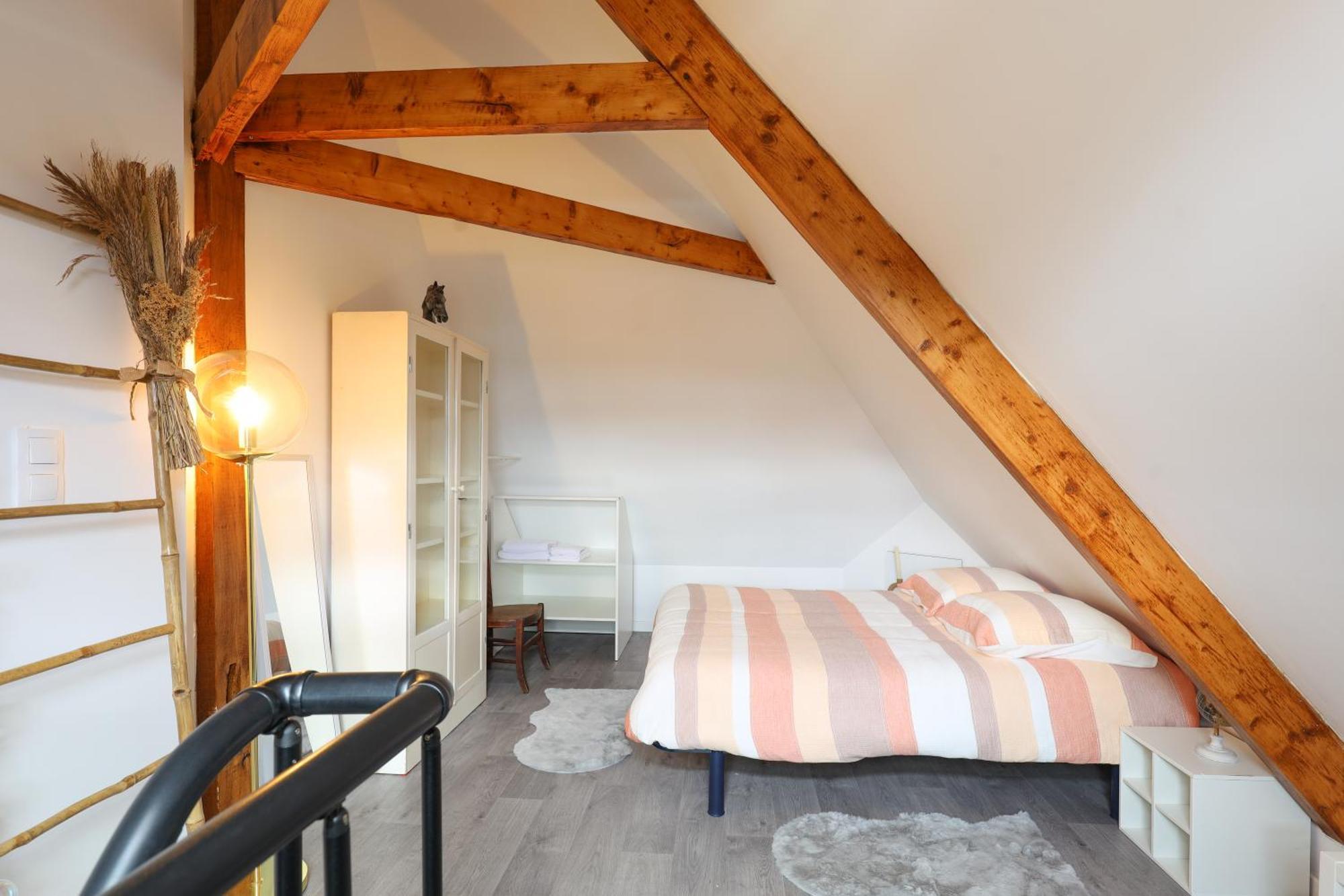 Duplex Elegant Et Lumineux Avec Vue Sur Le Chateau * Blois