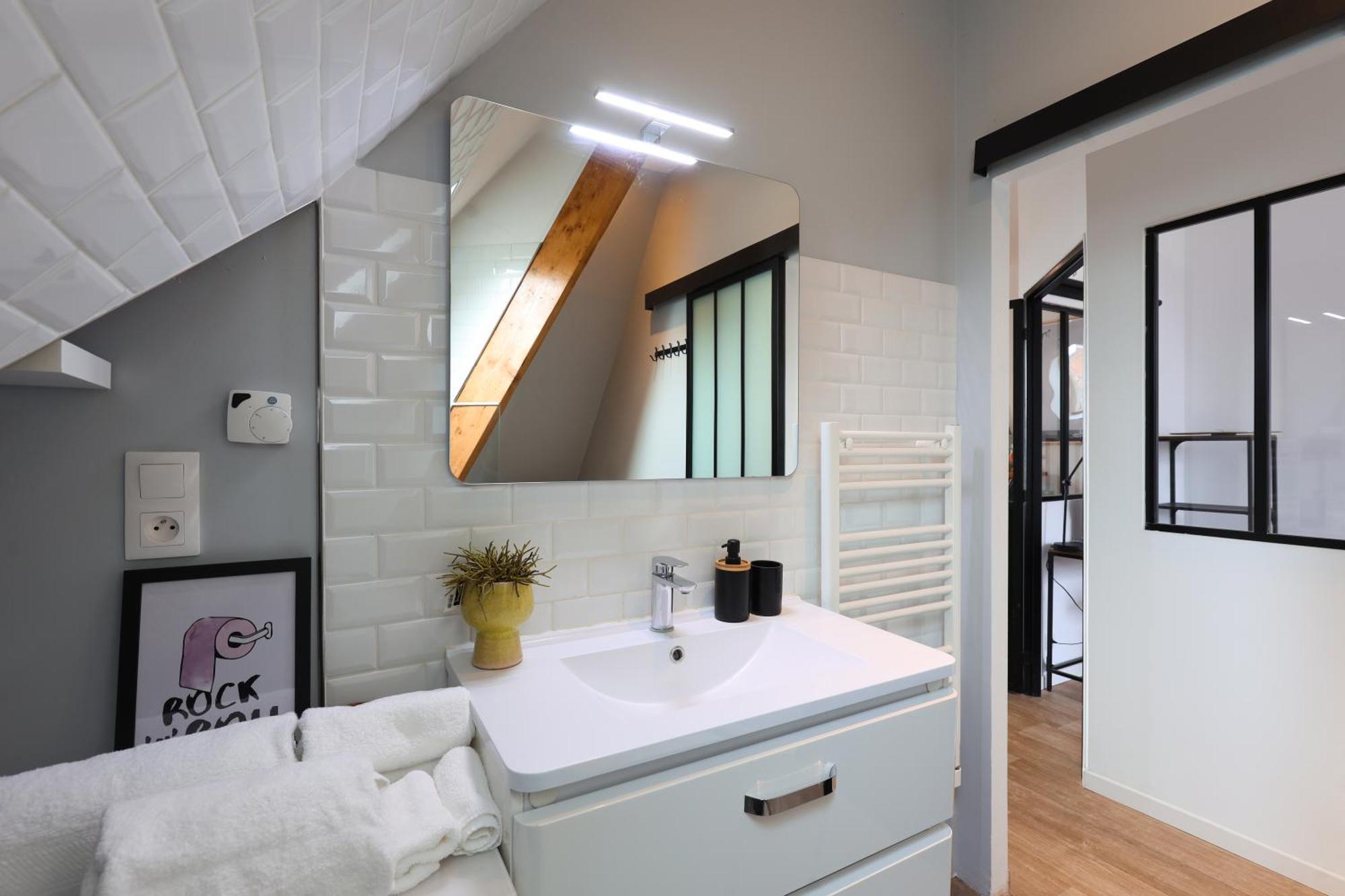 Duplex Elegant Et Lumineux Avec Vue Sur Le Chateau Blois