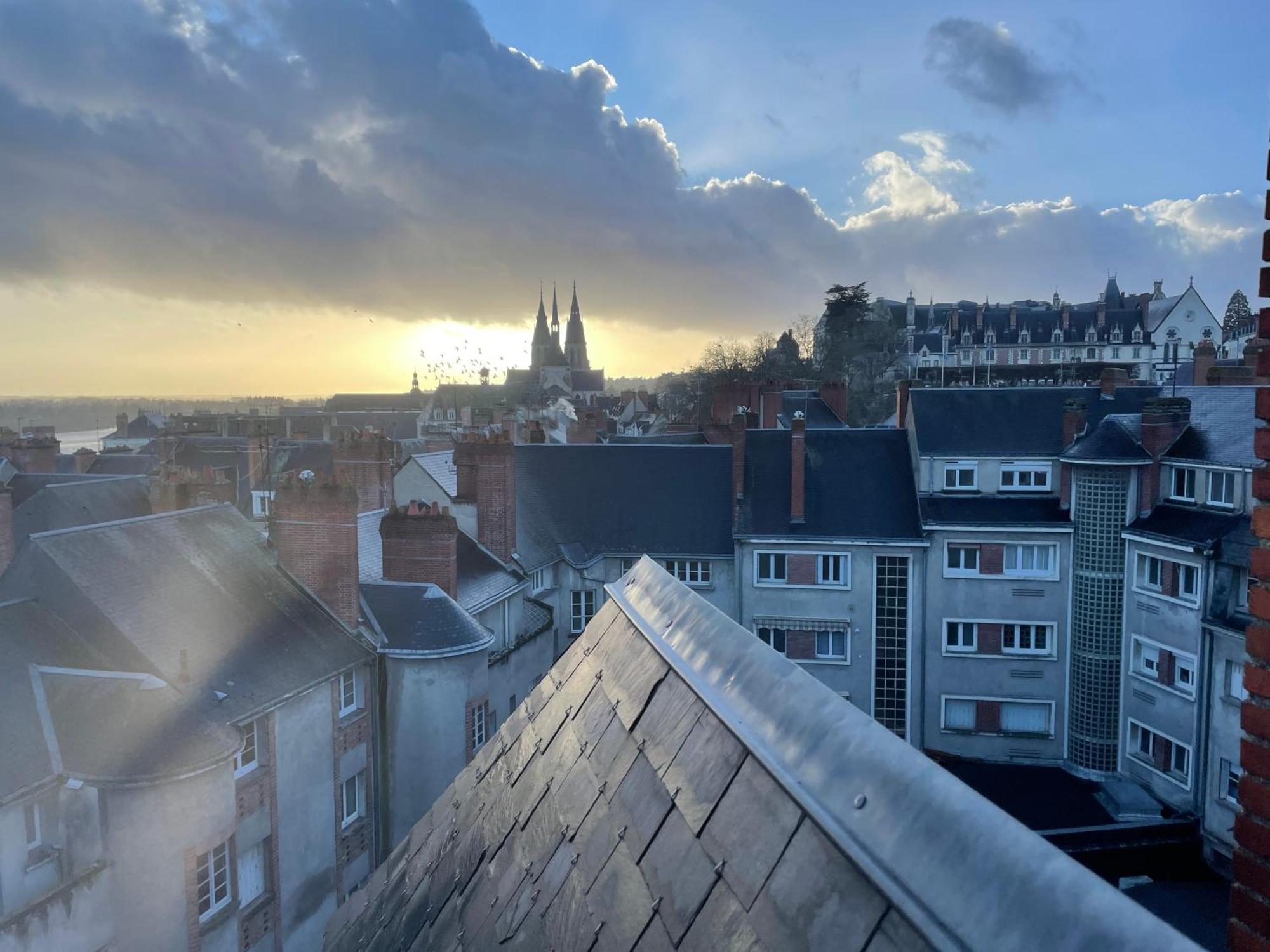 Duplex Elegant Et Lumineux Avec Vue Sur Le Chateau * Blois