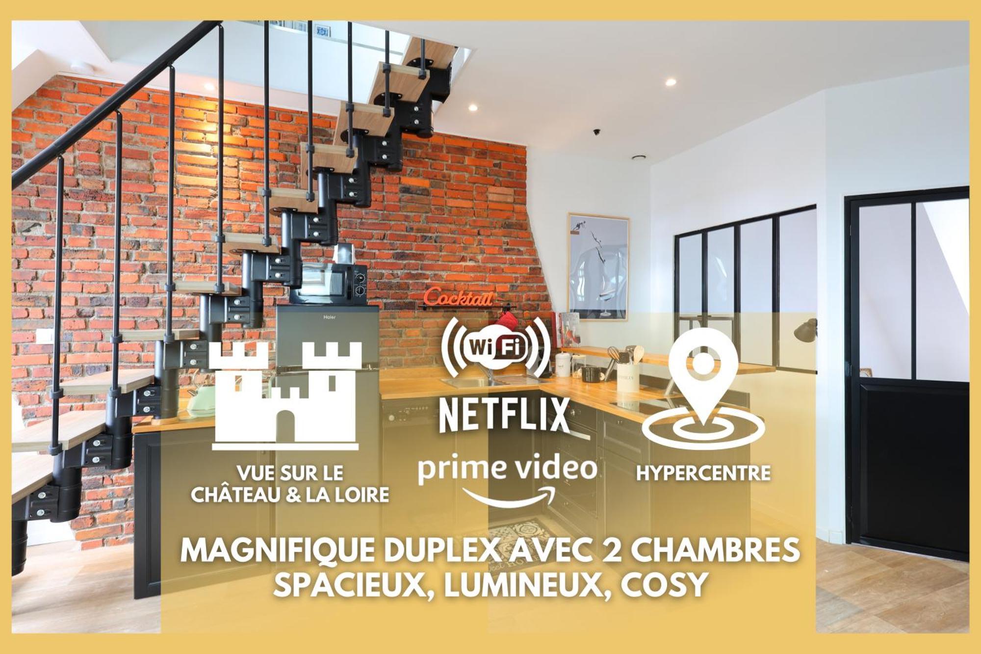 Duplex Elegant Et Lumineux Avec Vue Sur Le Chateau Blois