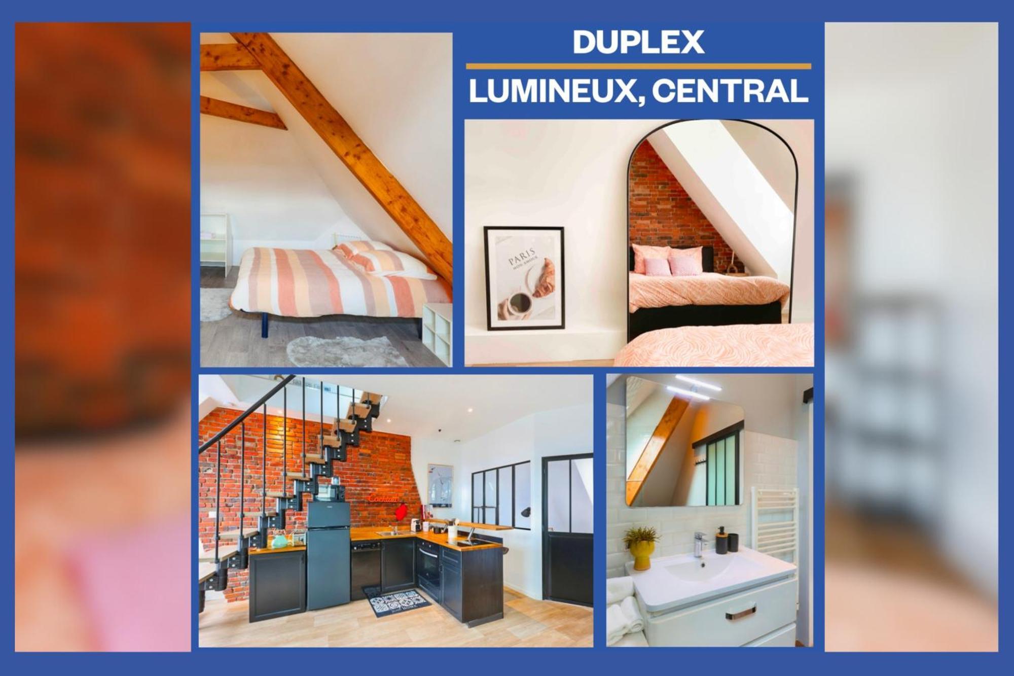Apartment Duplex Elegant Et Lumineux Avec Vue Sur Le Chateau Blois
